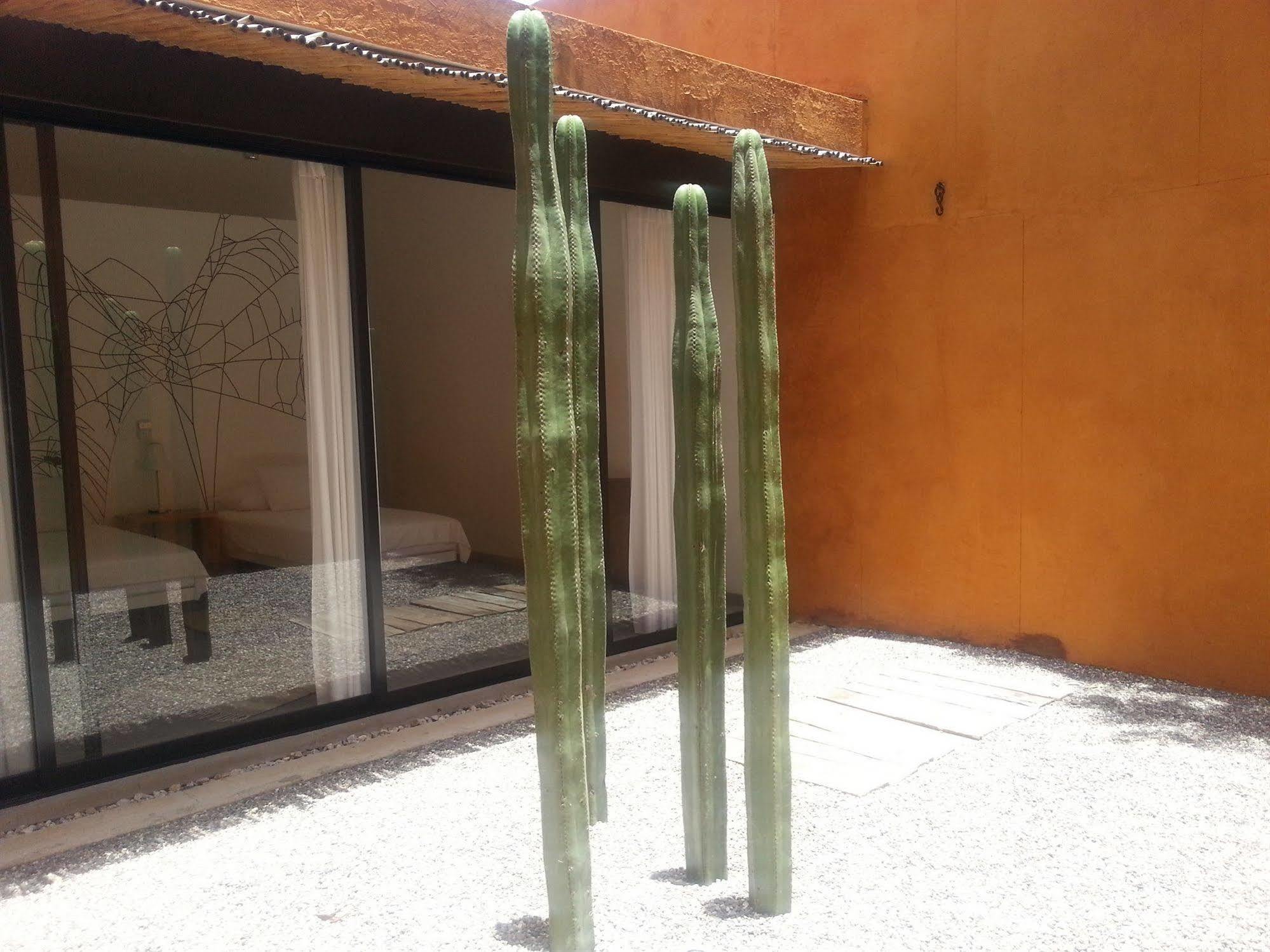 Hotel Cosijo - San Jeronimo Tlacochahuaya Bagian luar foto
