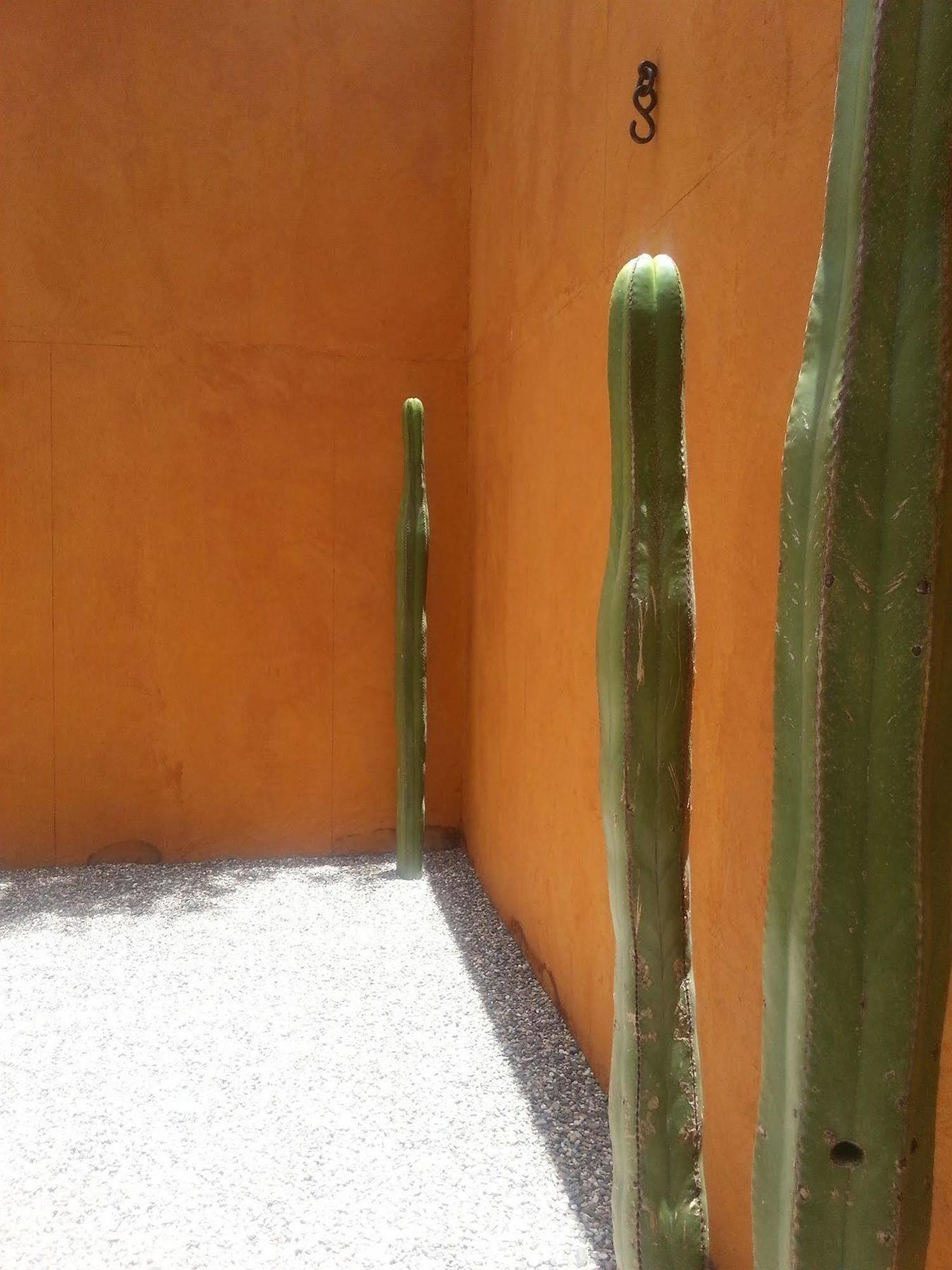 Hotel Cosijo - San Jeronimo Tlacochahuaya Bagian luar foto