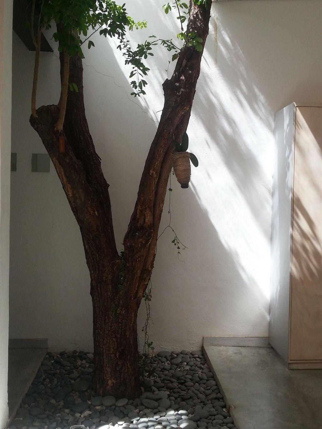 Hotel Cosijo - San Jeronimo Tlacochahuaya Bagian luar foto